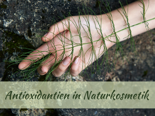 Antioxidantien in Naturkosmetik - BioBalsam Blog - Antioxidantien in Naturkosmetik